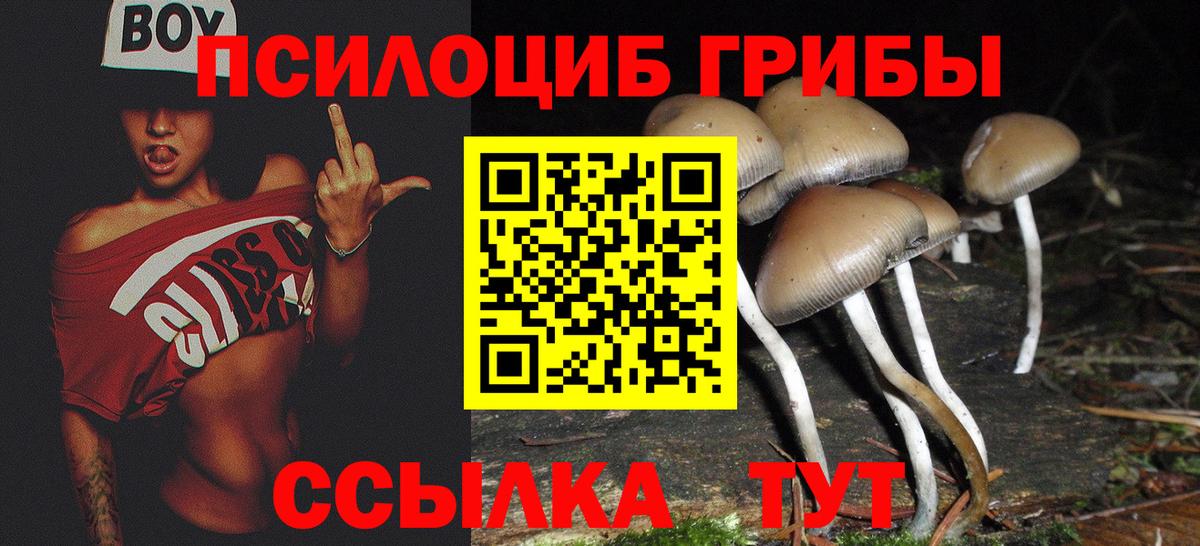 Острогожск  Галлюциногенные грибы Psilocybe  Вход с VPN 